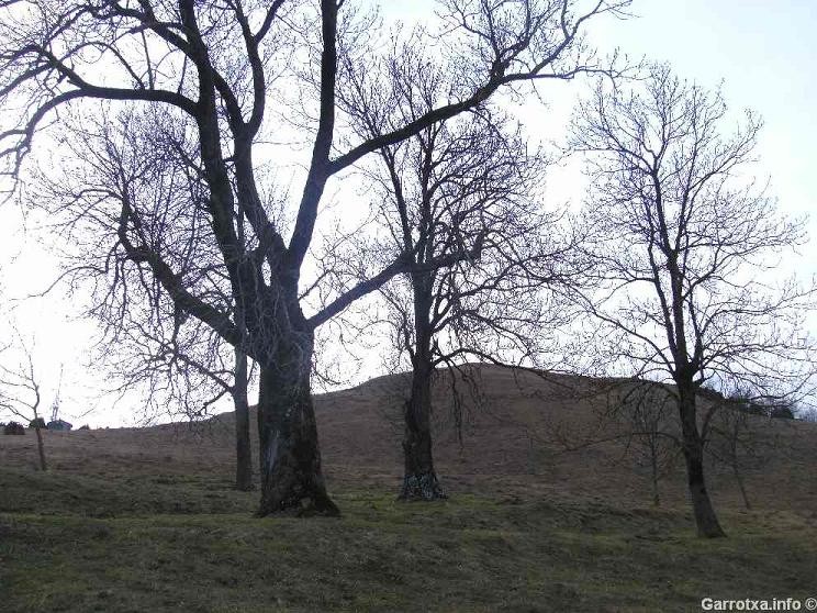 Santa Magdalena Garrotxa 015